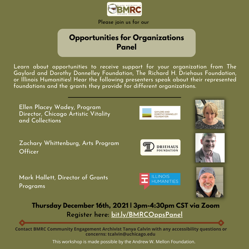 Opportunities for Organizations Panel.png